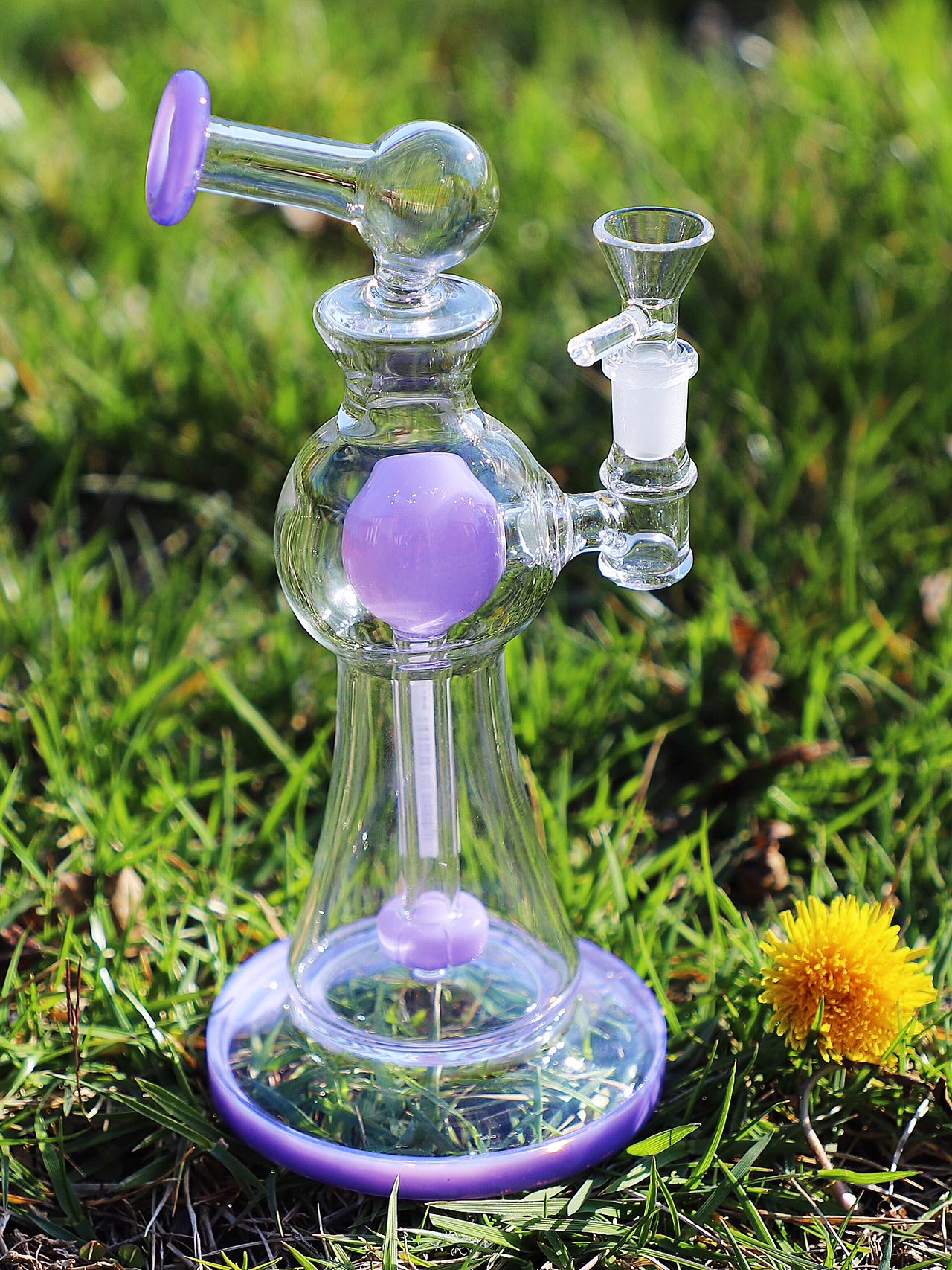 Enchanted Garden Mini Bong, the Ultimate Girly Glass Piece for Sophisticated Smokers with purple, pink, and green accents, offering an Ultimate Smooth Experience with Curve Percolator Bong, Green Glass Bong, and Advanced Filtration for a Sophisticated Smoking Session.